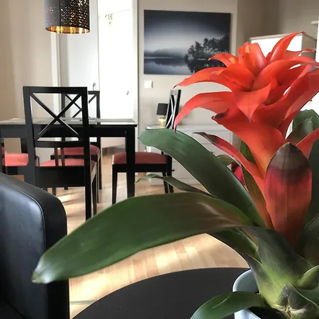 Sehnsucht Ruegen * Sellin (Rugen)